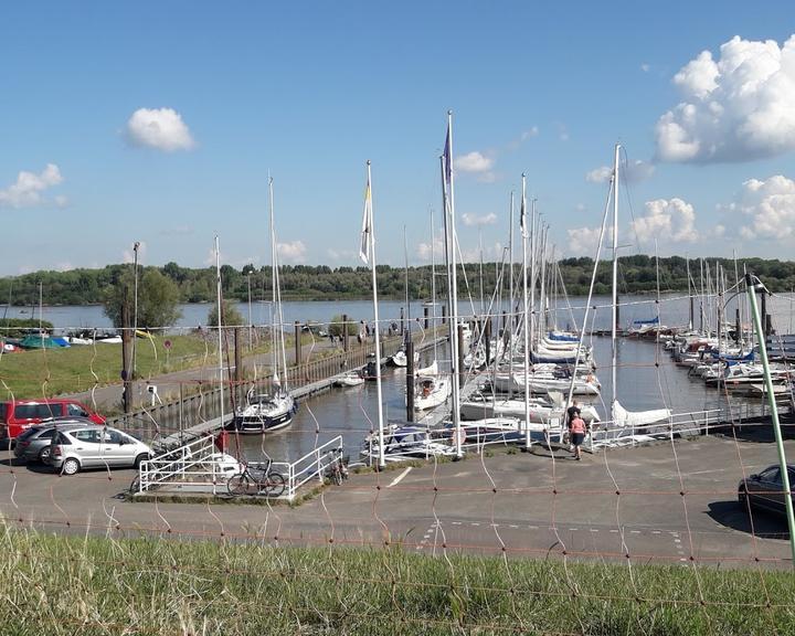 Moewen Nest